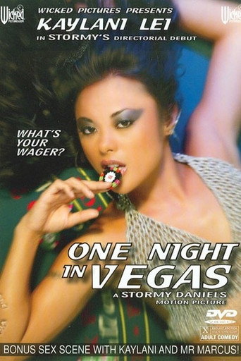 Poster for One Night in Vegas