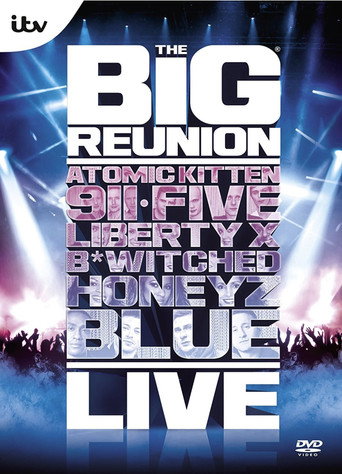 Poster for The Big Reunion