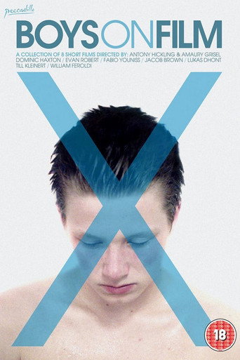 Poster for Boys On Film X