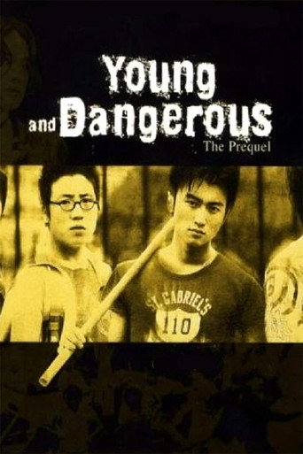 Poster for Young and Dangerous: The Prequel
