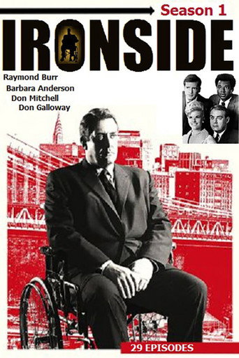The poster for Season 1