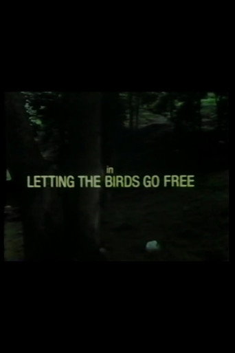 Poster for Letting the Birds Go Free