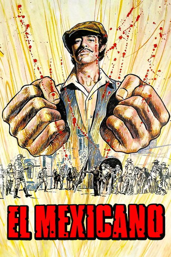 Poster for The Mexican