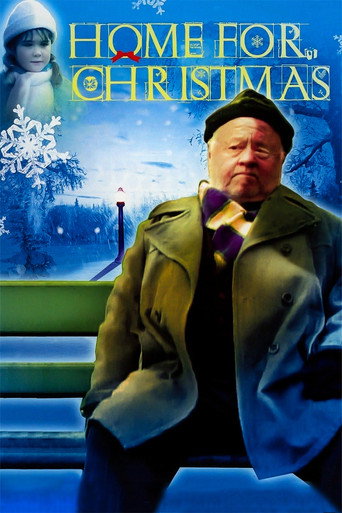 Poster for Home for Christmas