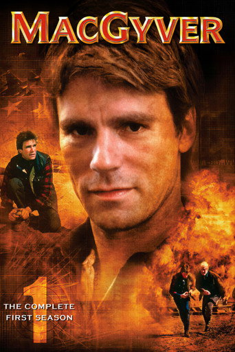 The poster for Season 1