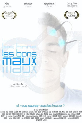 Poster for Les bons maux