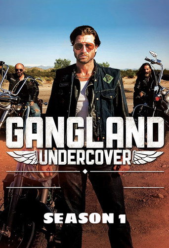 The poster for Season 1