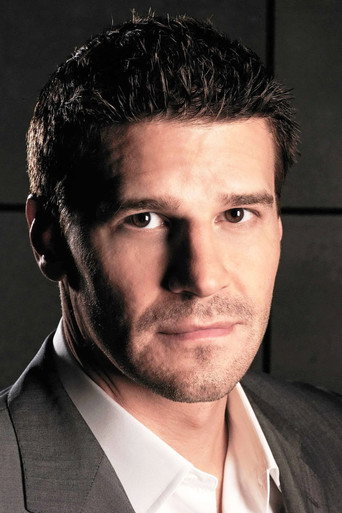 Portrait of David Boreanaz