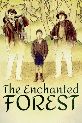 Poster for The Enchanted Forest