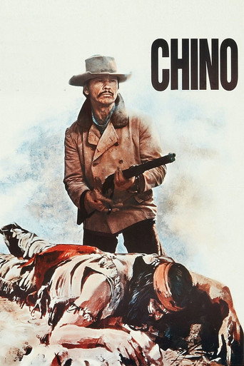 Poster for The Valdez Horses