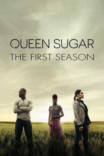The poster for Season 1