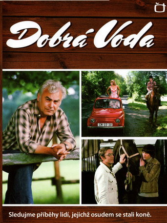 Poster for Dobrá Voda