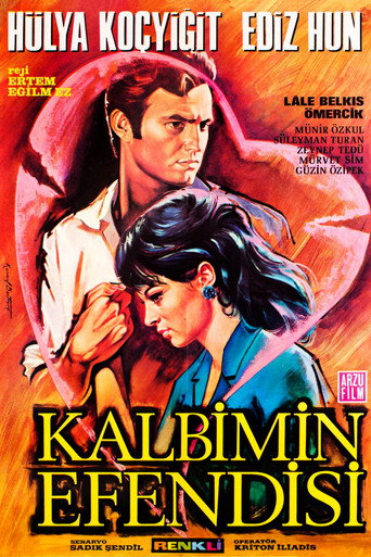 Poster for Kalbimin Efendisi