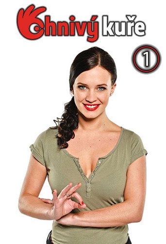 The poster for Season 1