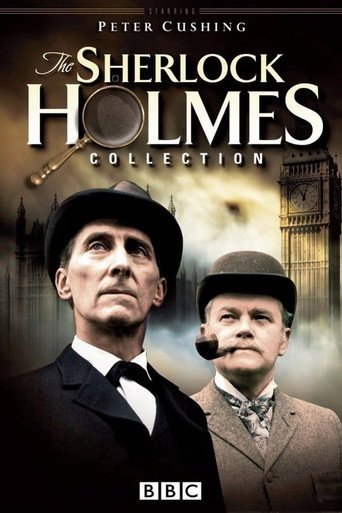 The poster for Series 2