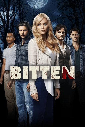 The poster for Season 1