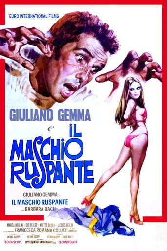 Poster for Il maschio ruspante