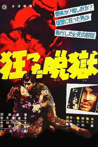 Poster for Crazy Jailbreak