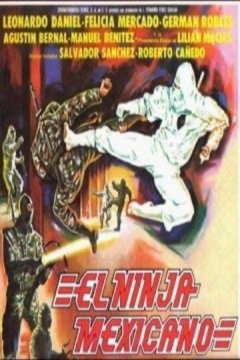 Poster for The Mexican Ninja