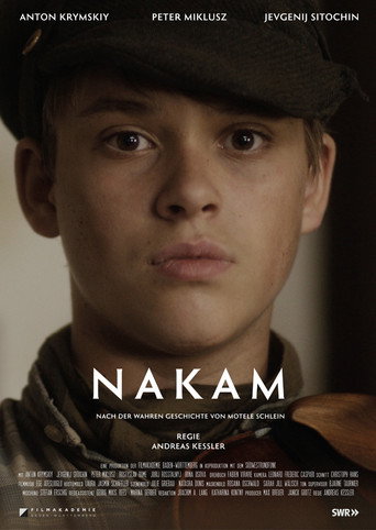 Poster for Nakam