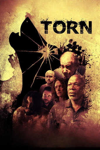 Poster for Torn