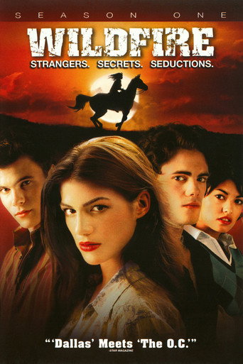The poster for Season 1