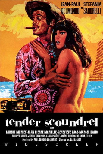 Poster for Tender Scoundrel