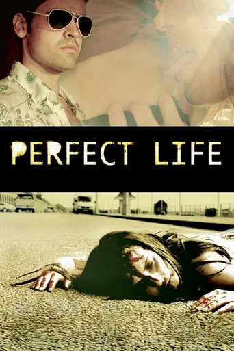 Poster for Perfect Life