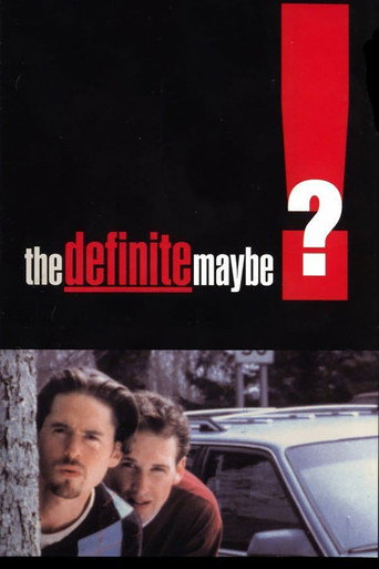 Poster for The Definite Maybe