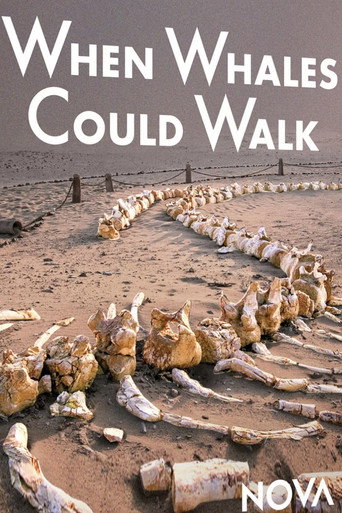 Poster for When Whales Could Walk