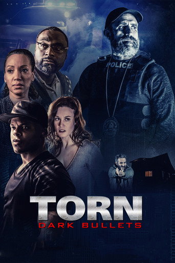 Poster for Torn: Dark Bullets