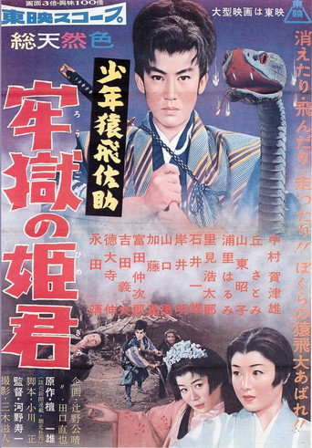 Poster for 少年猿飛佐助 牢獄の姫君
