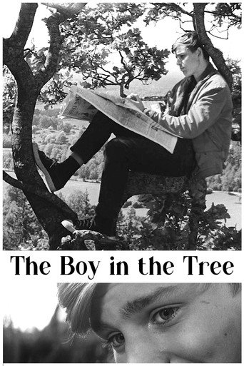 Poster for The Boy in the Tree