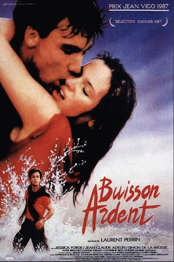 Poster for Burning Bush