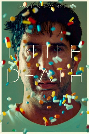 Poster for Little Death