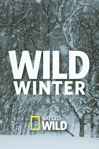 Poster for Wild Winter