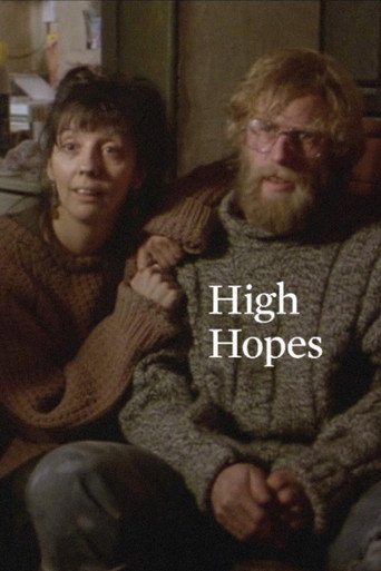 Poster for High Hopes