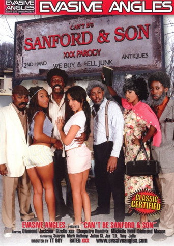 Poster for Can't Be Sanford & Son