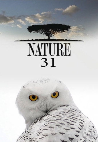 The poster for Season 31