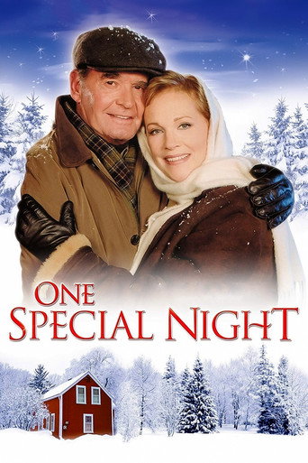 Poster for One Special Night
