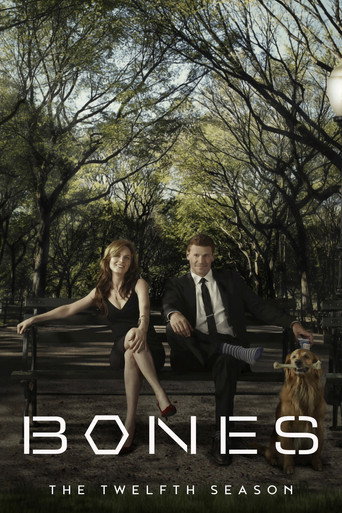 The poster for Season 12 - The Final Chapter
