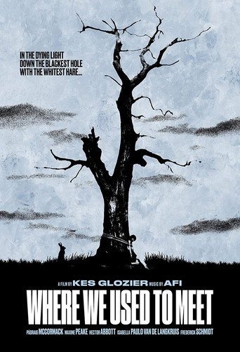 Poster for Where We Used to Meet
