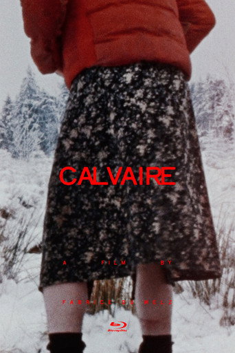 Poster for Calvaire