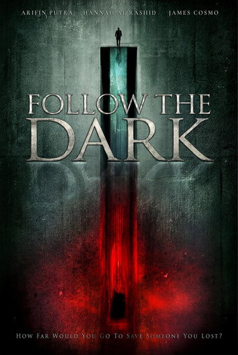 Poster for Follow the Dark