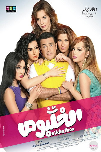 Poster for The Womanizer