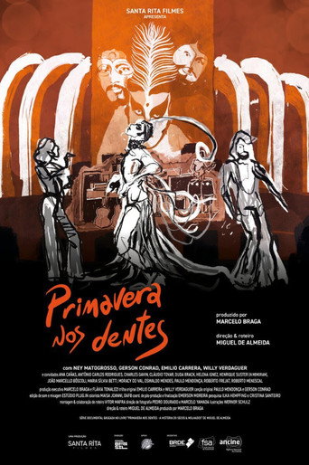 Poster for Primavera nos Dentes – A História do Secos & Molhados