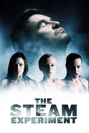 Poster for The Steam Experiment