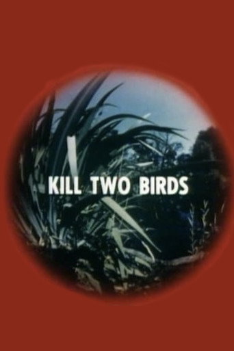 Poster for Kill Two Birds