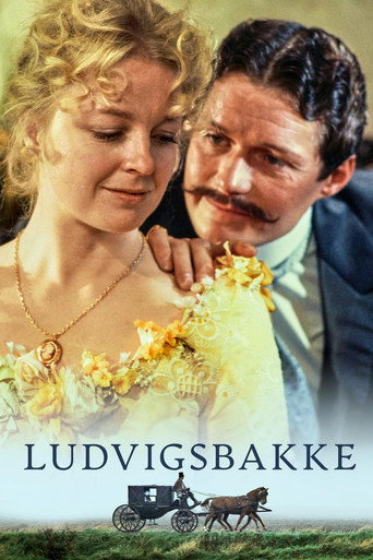 Poster for Ludvigsbakke