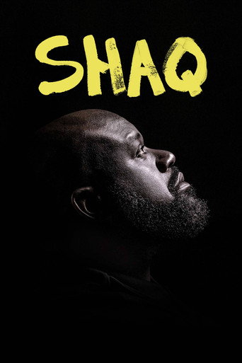 The poster for Miniseries
